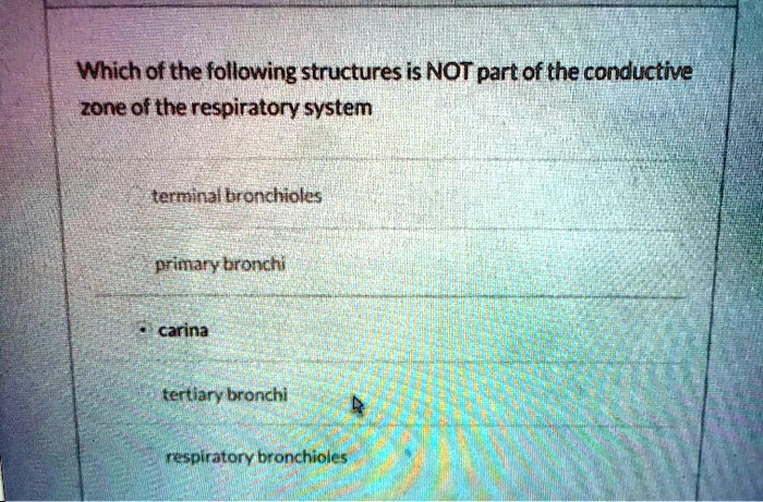 Which of the following structures is NOT part of the conductive zone of the respiratory system

terminal bronchioles
primary bronchi
carina
tertiary bronchi
respiratory bronchioles