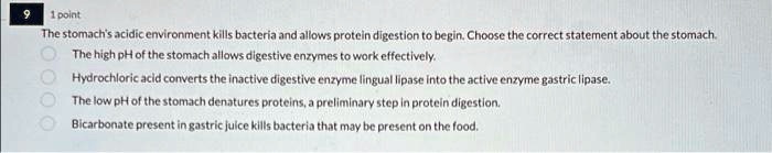 The stomach's acidic environment kills bacteria and allows protein digestion to begin. Choose the correct statement about the stomach.
The high pH of the stomach allows digestive enzymes to work effectively.
Hydrochloric acid converts the inactive digestive enzyme lingual lipase into the active enzyme gastric lipase.
The low pH of the stomach denatures proteins, a preliminary step in protein digestion.
Bicarbonate present in gastric juice kills bacteria that may be present on the food.