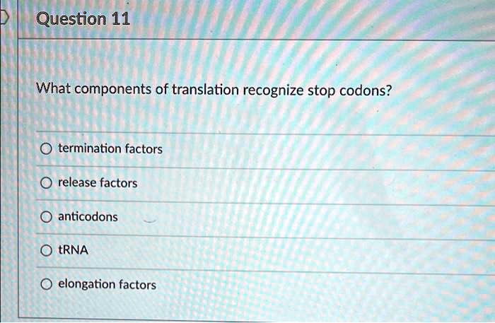 Question 11 What components of translation recognize stop codons ...