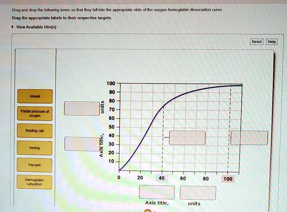 drag and drop ihe following terms so thal ihey iall into ihe