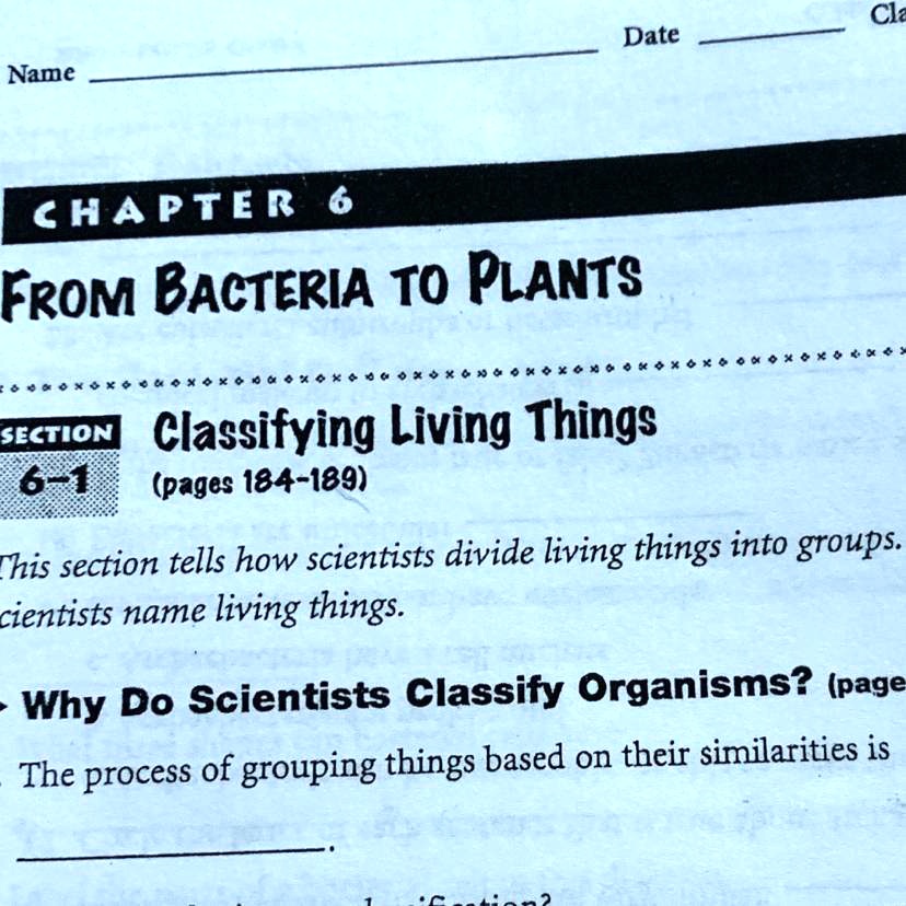 Name Date Cla CHAPTER 6 FROM BACTERIA TO PLANTS SECTION 