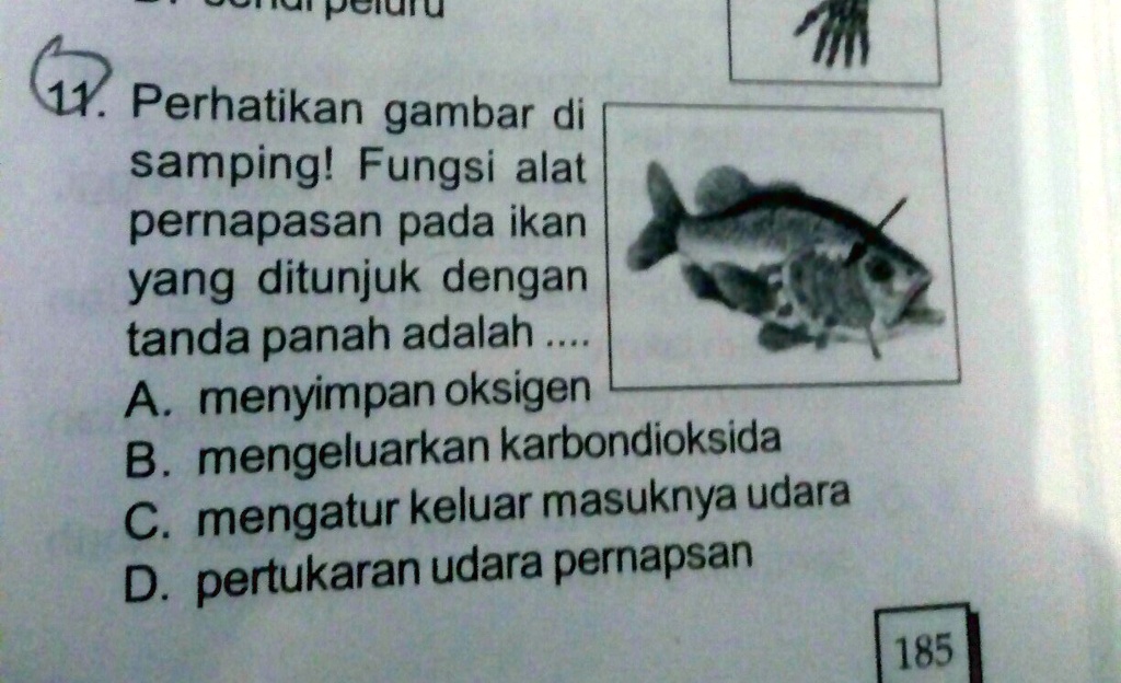 SOLVED: Bantuin Tolong Kak Please 1 Soal Ni Kak Eetd Pciuru Perhatikan ...