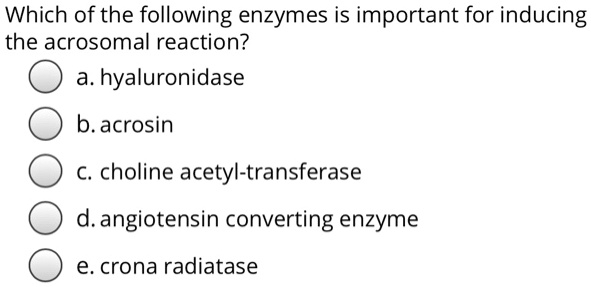 Which of the following enzymes is important for inducing
the acrosomal reaction?
a. hyaluronidase
b. acrosin
c. choline acetyl-transferase
d. angiotensin converting enzyme
e. crona radiatase