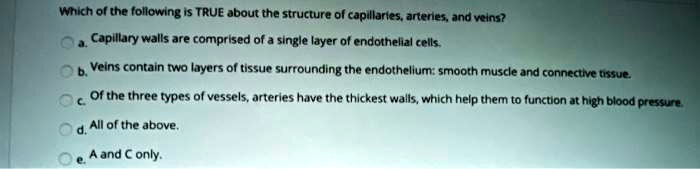 Which of the following is TRUE about the structure of capillaries, arteries, and veins?
a. Capillary walls are comprised of a single layer of endothelial cells.
b. Veins contain two layers of tissue surrounding the endothelium: smooth muscle and connective tissue.
c. Of the three types of vessels, arteries have the thickest walls, which help them to function at high blood pressure.
d. All of the above.
e. A and C only.