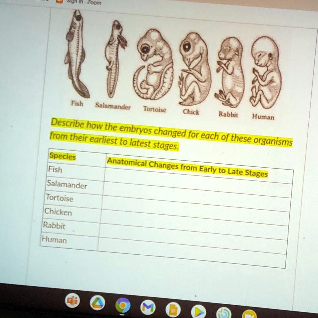 SOLVED Not good with bio, please help! ennZoom For Salamander