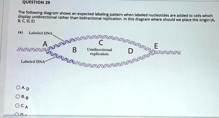 SOLVED: The following diagram shows an expected labeling display ...