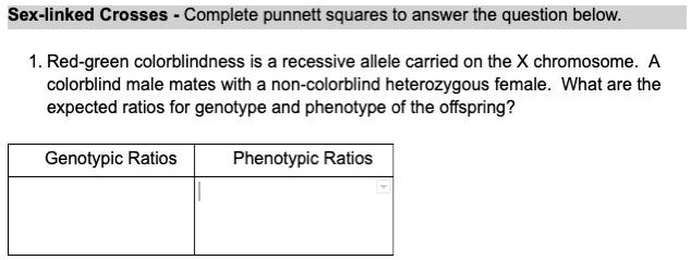 Solved Sex Linked Crosses Complete Punnett Squares To Answer The