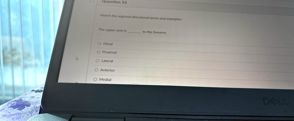 Question 55 Match the regional/directional terms and...