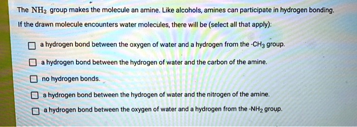 The NH2 group makes the molecule an amine. Like alcohols, amines can participate in hydrogen bonding.
If the drawn molecule encounters water molecules, there will be (select all that apply):
a hydrogen bond between the oxygen of water and a hydrogen from the -CH3 group.
a hydrogen bond between the hydrogen of water and the carbon of the amine.
no hydrogen bonds.
a hydrogen bond between the hydrogen of water and the nitrogen of the amine.
a hydrogen bond between the oxygen of water and a hydrogen from the -NH2 group.