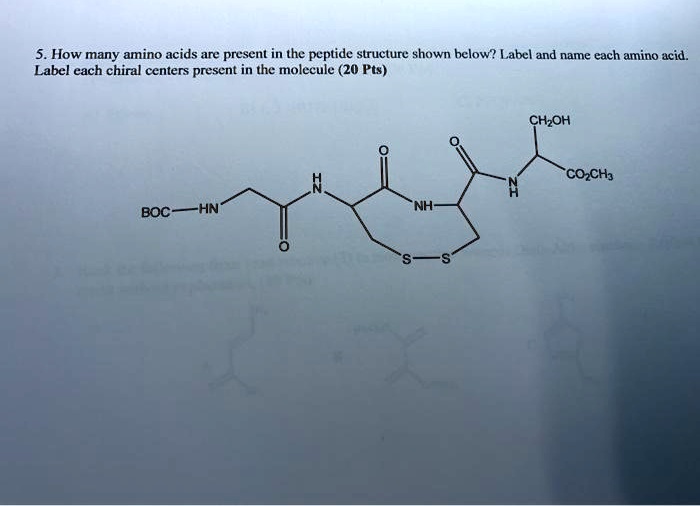 SOLVED 5. How many amino acids are present in the peptide structure