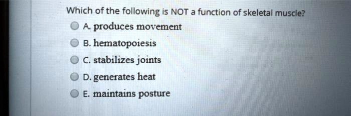 Which of the following is NOT a function of skeletal muscle?
A. produces movement
B. hematopoiesis
C. stabilizes joints
D. generates heat
E. maintains posture