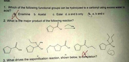 SOLVED: olai Which of Ihe following functicnal graups hydrolyzed ta a ...