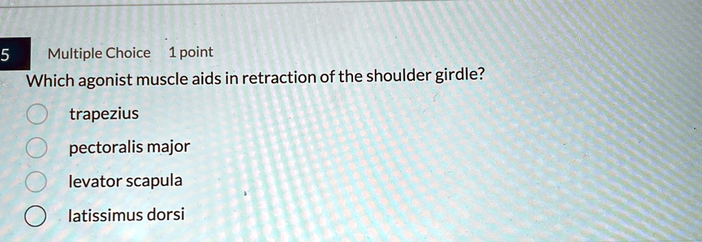 multiple choice 1 point which agonist muscle aids in retraction of the shoulder girdle trapezius pectoralis major levator scapula latissimus dorsi 75547