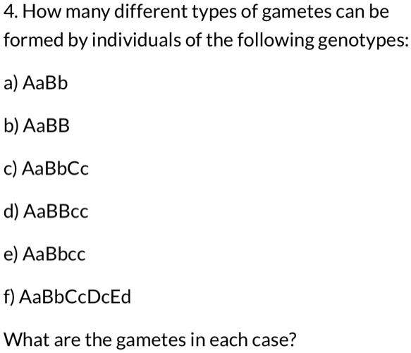 How many different types of gametes can be formed by … - SolvedLib