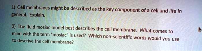 SOLVED: 4) Cell membranes might be described as the key component of a ...