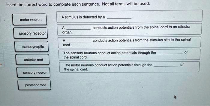Insert the correct word to complete each sentence. Not all terms will be used.

motor neuron
sensory receptor
monosynaptic
anterior root
sensory neuron
posterior root

A stimulus is detected by a .

A  conducts action potentials from the spinal cord to an effector organ.

A  conducts action potentials from the stimulus site to the spinal cord.

The sensory neurons conduct action potentials through the  of the spinal cord.

The motor neurons conduct action potentials through the  of the spinal cord.