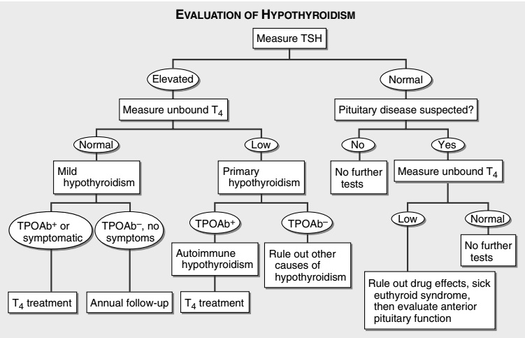 SOLVED: Texts: EXPLAIN THE WHOLE DIAGRAM IN FULL DETAIL EVALUATION OF ...