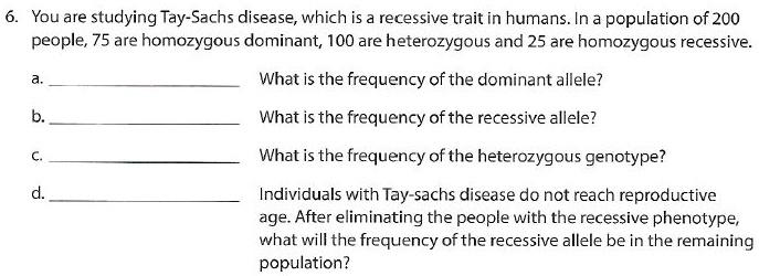 6. You are studying Tay-Sachs disease, which is a recessive trait in humans. In a population of 200 people, 75 are homozygous dominant, 100 are heterozygous and 25 are homozygous recessive.
a. What is the frequency of the dominant allele?
b. What is the frequency of the recessive allele?
c. What is the frequency of the heterozygous genotype?
d. Individuals with Tay-sachs disease do not reach reproductive age. After eliminating the people with the recessive phenotype, what will the frequency of the recessive allele be in the remaining population?