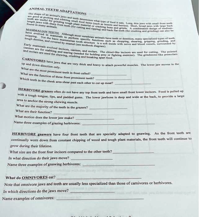 SOLVED: Texts: ANIMAL TEETH ADAPTATIONS The shape of an animal's jaws