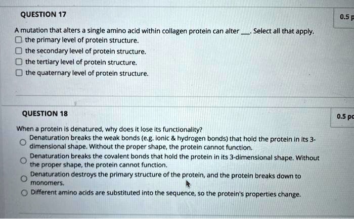QUESTION 17
A mutation that alters a single amino acid within collagen protein can alter . Select all that apply.
the primary level of protein structure.
the secondary level of protein structure.
the tertiary level of protein structure.
the quaternary level of protein structure.
QUESTION 18
When a protein is denatured, why does it lose its functionality?
Denaturation breaks the weak bonds (e.g. ionic     hydrogen bonds) that hold the protein in its 3-dimensional shape. Without the proper shape, the protein cannot function.
Denaturation breaks the covalent bonds that hold the protein in its 3-dimensional shape. Without the proper shape, the protein cannot function.
Denaturation destroys the primary structure of the protein, and the protein breaks down to monomers.
Different amino acids are substituted into the sequence, so the protein's properties change.