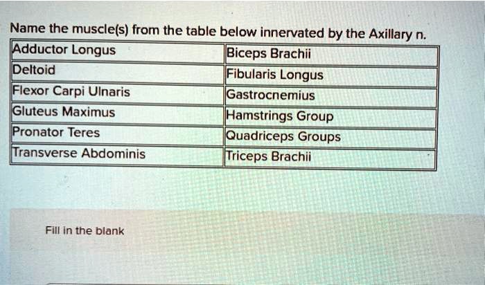 Name the muscle(s) from the table below innervated by the...