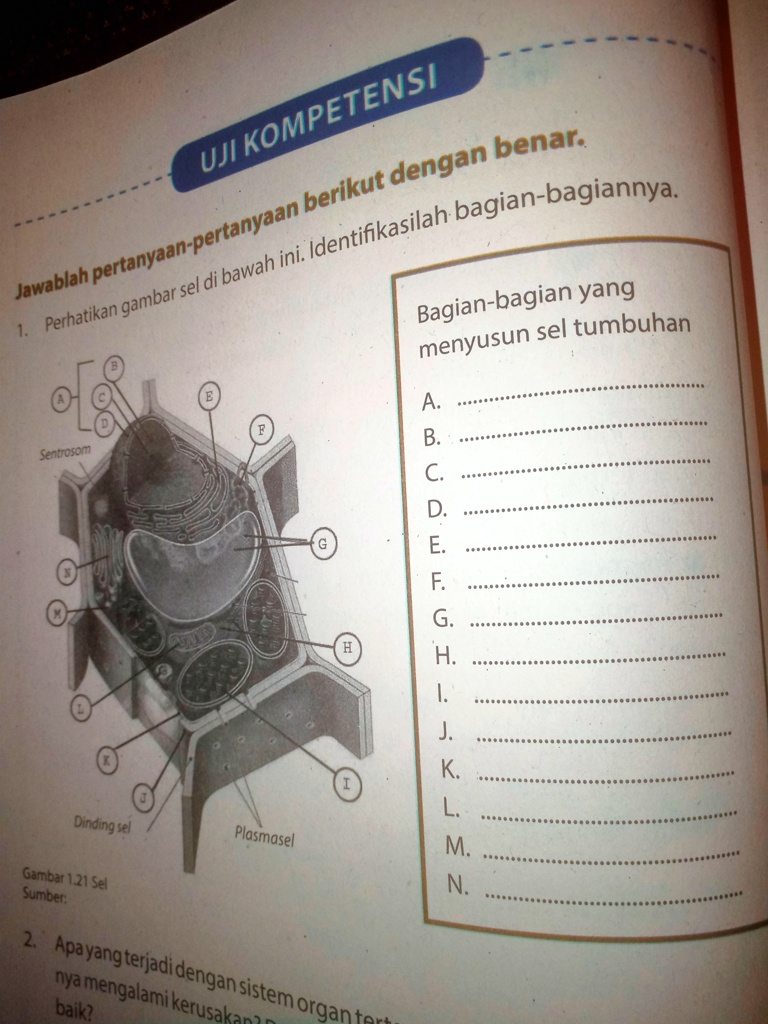 SOLVED: Identifikasi Lah Bagian Bagiannya KOMPETENSI UJI Benara Dengan ...