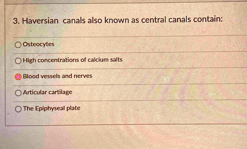 SOLVED: Haversian canals, also known as central canals, contain