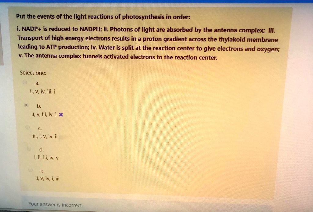 SOLVEDPut the events of the light reactions of photosynthesis in order