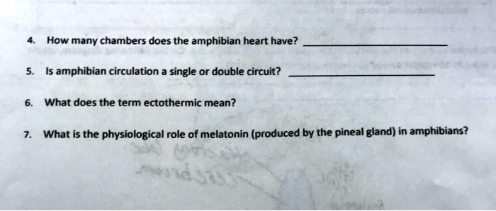 SOLVED: How many chambers does the amphibian heart have? amphibian