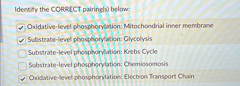SOLVED: Identify the CORRECT pairing(s) below: Oxidative-level
