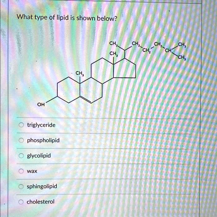 SOLVED What type of lipid is shown below? CH CH2 CH2 CH CH, CH CH CH