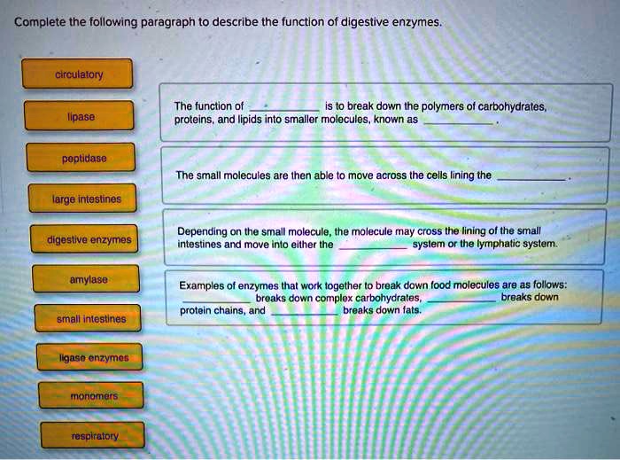SOLVED The function of digestive enzymes is to break down the polymers