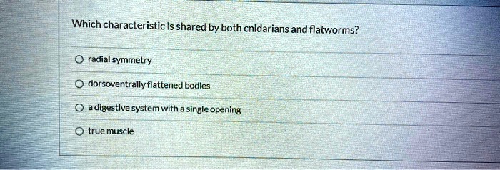 Which characteristic is shared by both cnidarians and flatworms?
radial symmetry
dorsoventrally flattened bodies
a digestive system with a single opening
true muscle