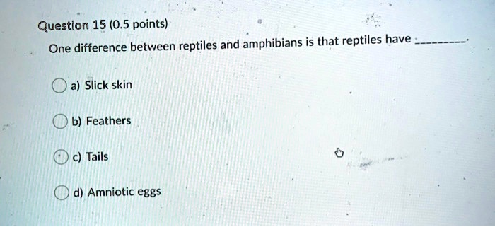 SOLVED: Question 15 (0.5 points) One difference between reptiles and