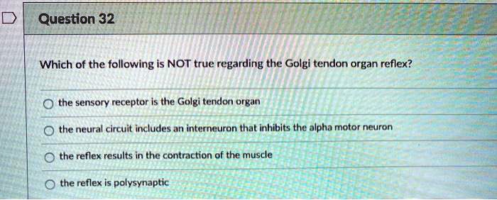 Solved:question 32 Which Of The Following Is Not True Regarding The Golgi  Tendon Organ Reflex? The Sensory Receptor Is The Golgi Tendon Organ The  Neural Circuit Includes An Interneuron That Inhibits The Solved:question 32 Which Of The Following Is Not True Regarding The Golgi  Tendon Organ Reflex? The Sensory Receptor Is The Golgi Tendon Organ The  Neural Circuit Includes An Interneuron That Inhibits The
