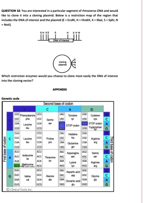 SOLVED: Question 10. You are interested in a particular segment of ...
