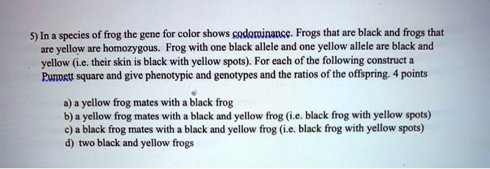 5) In a species of frog the gene for color shows codominance. Frogs that are black and frogs that are yellow are homozygous. Frog with one black allele and one yellow allele are black and yellow (i.e. their skin is black with yellow spots). For each of the following construct a Punnett square and give phenotypic and genotypes and the ratios of the offspring. 4 points

a) a yellow frog mates with a black frog
b) a yellow frog mates with a black and yellow frog (i.e. black frog with yellow spots)
c) a black frog mates with a black and yellow frog (i.e. black frog with yellow spots)
d) two black and yellow frogs