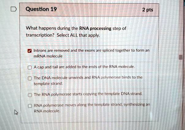 SOLVED:Question 19 2 pts What happens during the RNA processing step of ...