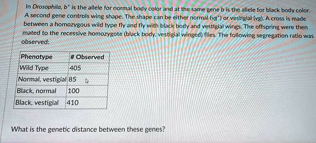 In Drosophila, b+ is the allele for normal body color and at the same gene b is the allele for black body color. A second gene controls wing shape. The shape can be either normal (vg+) or vestigial (vg). A cross is made between a homozygous wild type fly and fly with black body and vestigial wings. The offspring were then mated to the recessive homozygote (black body, vestigial winged) flies. The following segregation ratio was observed:

Phenotype # Observed
Wild Type 405
Normal, vestigial 85
Black, normal 100
Black, vestigial 410

What is the genetic distance between these genes?