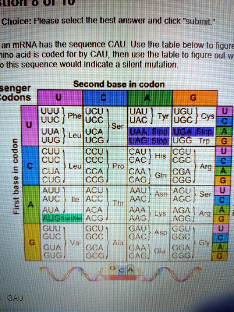 SOLVED A part of mRNA has the sequence CAU. Use the table below to figure out which amino acid