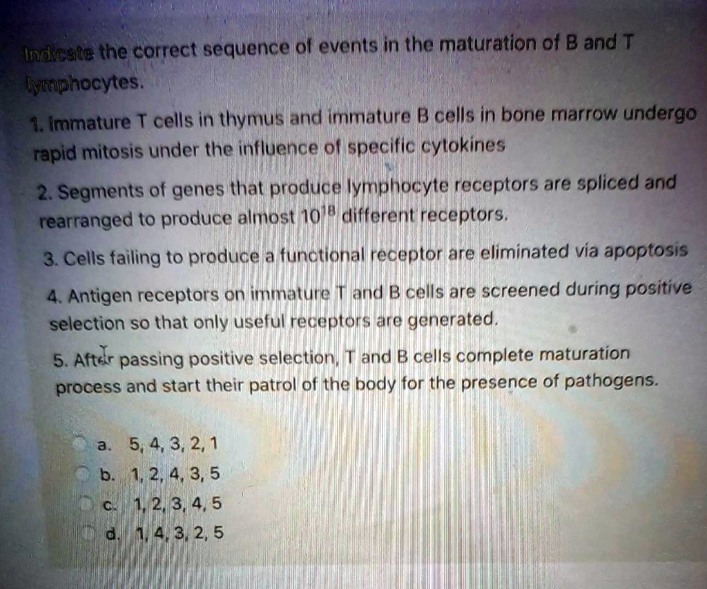 Indicate the correct sequence of events in the maturation of B and T ...