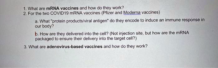 1. What are mRNA vaccines and how do they work?
2. For the two COVID19 mRNA vaccines (Pfizer and Moderna vaccines)
a. What "protein products/viral antigen" do they encode to induce an immune response in our body?
b. How are they delivered into the cell? (Not injection site, but how are the mRNA packaged to ensure their delivery into the target cell?)
3. What are adenovirus-based vaccines and how do they work?