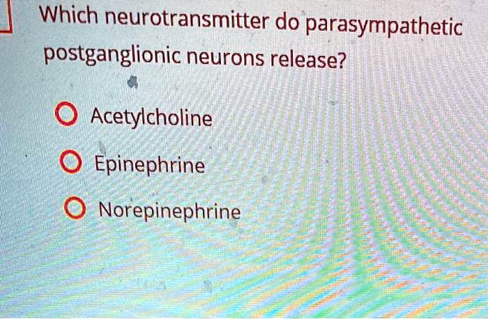 Which neurotransmitter do parasympathetic postganglionic neurons release?
Acetylcholine
Epinephrine
Norepinephrine