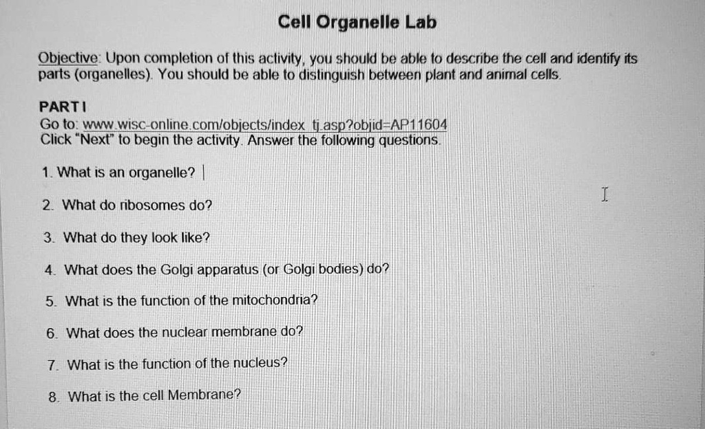SOLVED: Cell Organelle Lab Objective: Upon completion of (his aclivity, you  shoukd be able l0 describe the cell and identify its parts (organelles) You  should be able t0 dislinguish betweer plant and