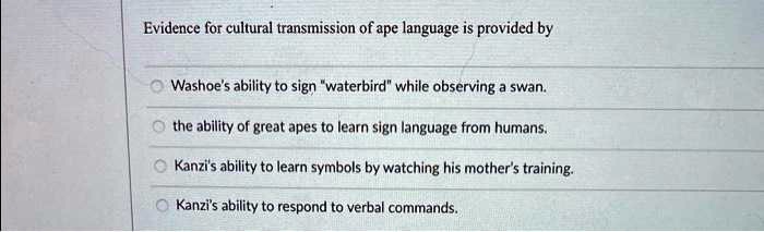 Evidence for cultural transmission of ape language is...