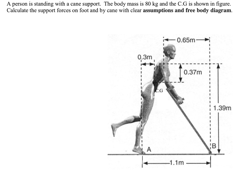 how-many-bones-are-in-the-human-body