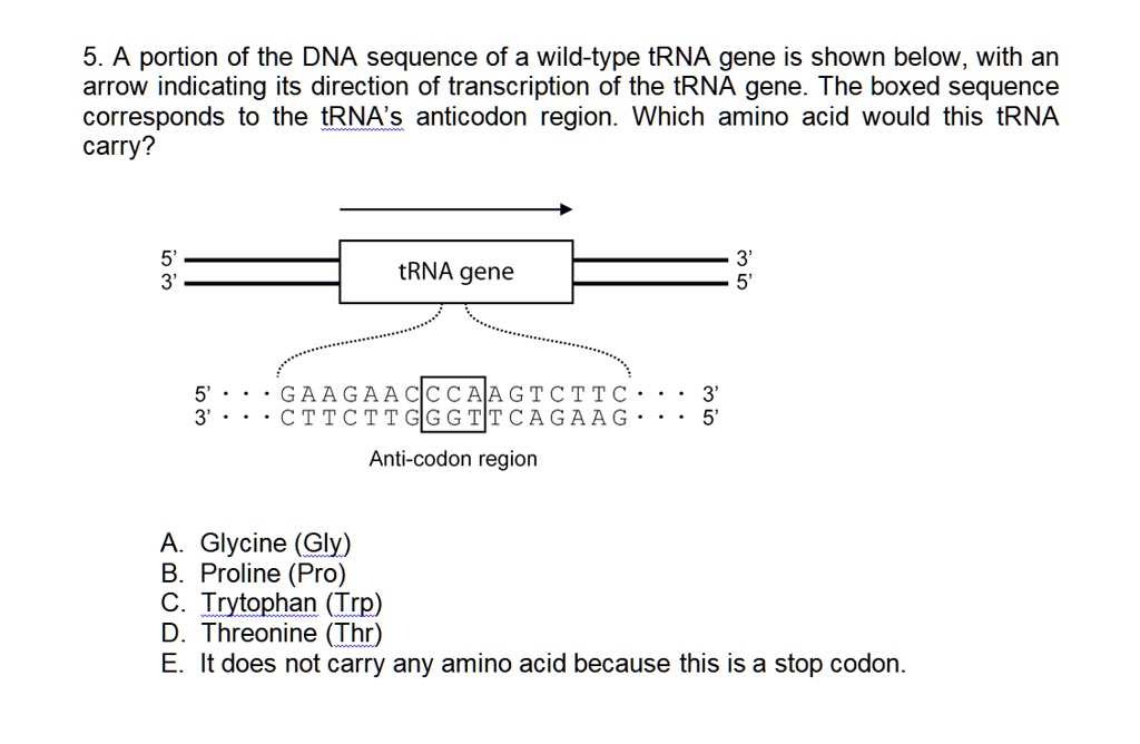 5. A portion of the DNA sequence of a wild-type tRNA gene is shown below, with an arrow indicating its direction of transcription of the tRNA gene. The boxed sequence corresponds to the tRNA's anticodon region. Which amino acid would this tRNA carry?

5' ———— tRNA gene ———— 3'
3' —————————————— 5'

5' . . . G A A G A A C C A A G T C T T C . . . 3'
3' . . . C T T C T T G G G T T C A G A A G . . . 5'

Anti-codon region

A. Glycine (Gly)
B. Proline (Pro)
C. Tryptophan (Trp)
D. Threonine (Thr)
E. It does not carry any amino acid because this is a stop codon.