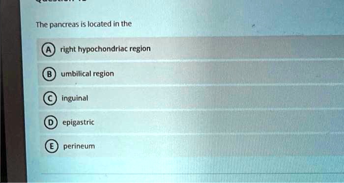 solved-15-the-pancreas-is-located-in-the-right-hypochondriac-region