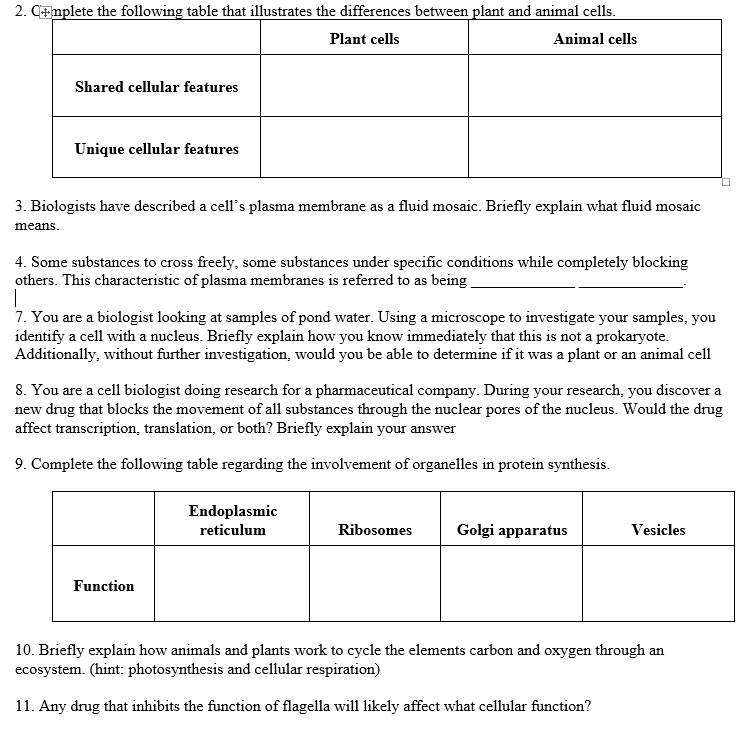 2 pplete the following tablethat illustrates the differences ...
