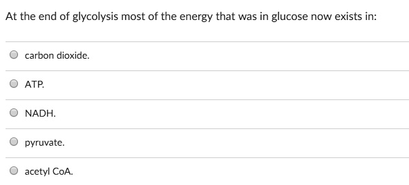 At the end of glycolysis most of the energy that was in glucose now exists in:
carbon dioxide.
ATP.
NADH.
pyruvate.
acetyl CoA.